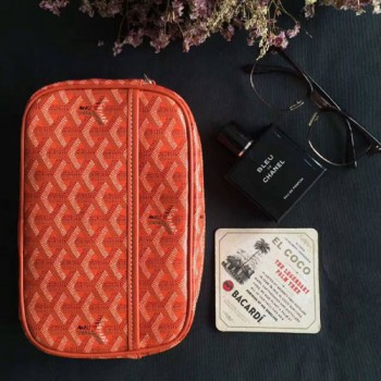 고야드 크로스백