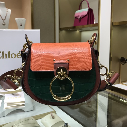 끌로에\끌로에 TESS 테스백