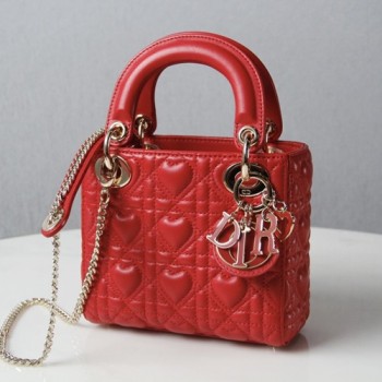 디올 Dioramour 레이디백 17cm