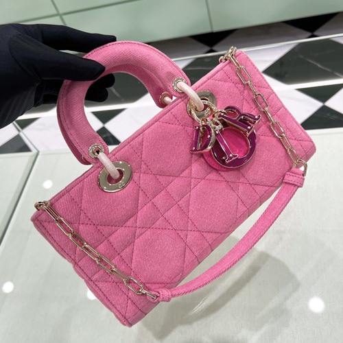 디올 D-JOY 레이디백