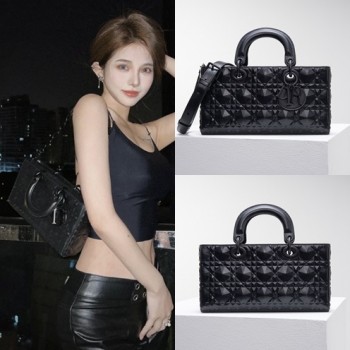 디올 D-JOY 레이디백