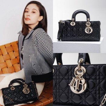 디올 D-JOY 레이디백