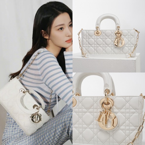 디올 D-JOY 레이디백