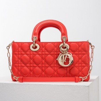 디올 D-JOY 레이디백