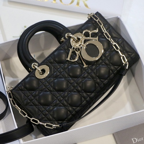 디올 D-JOY 레이디백