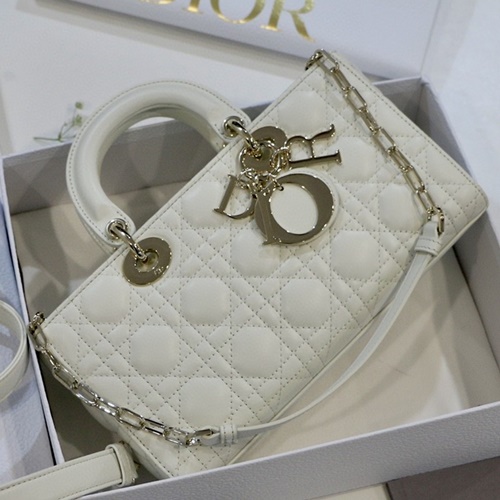 디올 D-JOY 레이디백