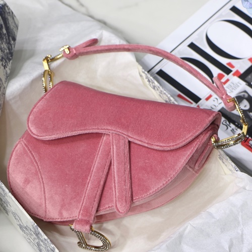 디올 SADDLE 벨벳 새들백 19.5cm