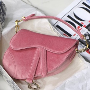 디올 SADDLE 벨벳 새들백 19.5cm