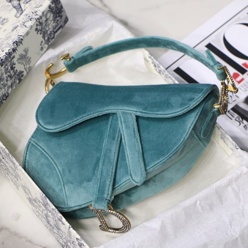 디올 SADDLE 벨벳 새들백 19.5cm