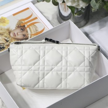 디올 TRAVEL NOMAD 트래블 노마드 파우치 22cm