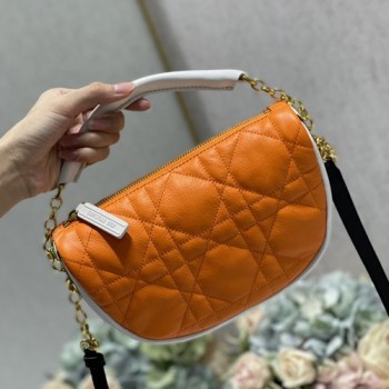 디올 VIBE 바이브백 20cm