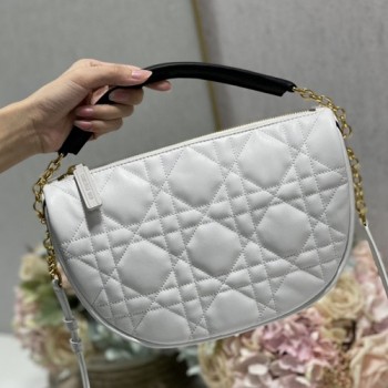 디올 VIBE 바이브백 29cm