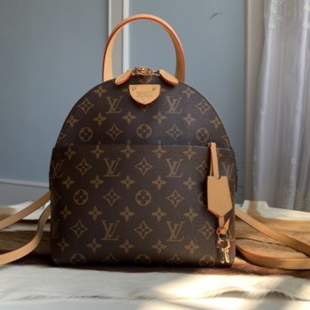 루이비통 모노그램 문 백팩