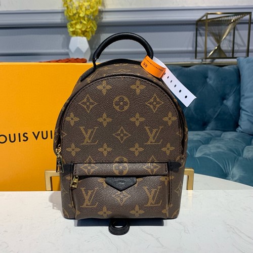 루이비통 모노그램 팜 스프링스 미니백팩