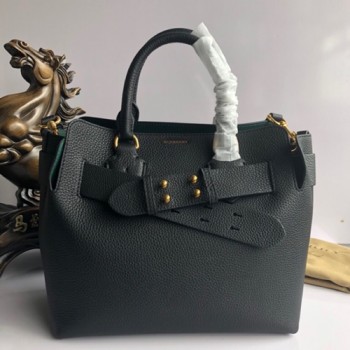 버버리 MD 벨트백