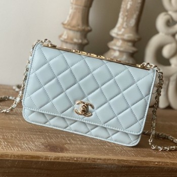 샤넬 WOC 미니 체인백