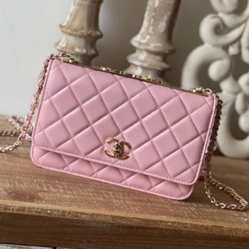 샤넬 WOC 미니 체인백