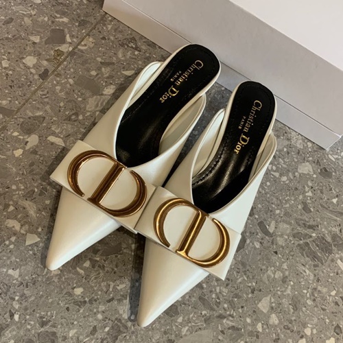 디올 CD로고 블로퍼